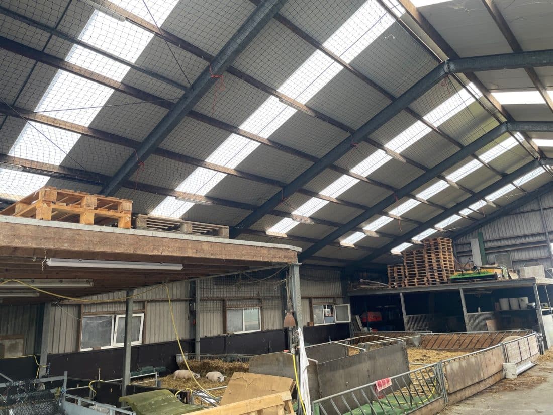 laan-winkel-1-1100×825